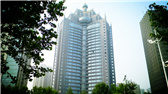 洛陽(yáng)開元礦業(yè)集團(tuán)有限公司，始成立于2006年，主營(yíng)業(yè)務(wù)涵蓋礦產(chǎn)品貿(mào)易、礦山開發(fā)、酒店服務(wù)、房地產(chǎn)開發(fā)和金融投資等，集團(tuán)位于洛陽(yáng)市開元大道世貿(mào)中心；中國(guó)民主建國(guó)會(huì)會(huì)員、青年企業(yè)家許明月先生是公司創(chuàng)始人和實(shí)際控制人，目前任洛陽(yáng)開元礦業(yè)集團(tuán)有限公司董事長(zhǎng)兼總經(jīng)理。